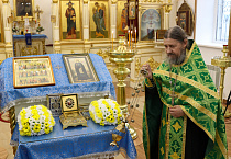 Мощи преподобного Сергия Радонежского побывали в социальных и медицинских учреждениях Кургана