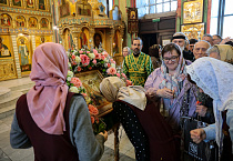 В праздник Входа Господня в Иерусалим митрополит Даниил освятил вербы в Александро-Невском соборе