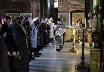 Митрополит Даниил: «Каждый человек, живущий на земле, может и должен приобщиться к мученическому подвигу»