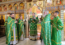 В праздник Входа Господня в Иерусалим митрополит Даниил освятил вербы в Александро-Невском соборе