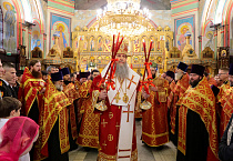 Митрополит Даниил поздравил духовенство Курганской епархии с праздником Пасхи