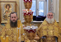 Митрополит Ташкентский и Узбекистанский Викентий: «Церковь является средоточием милосердия и сострадания к ближним»