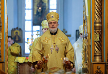 Митрополит Даниил поздравил епископа Шадринского и Далматовского Владимира с 60-летием