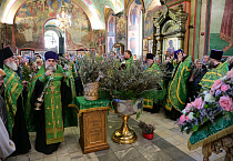 В праздник Входа Господня в Иерусалим митрополит Даниил освятил вербы в Александро-Невском соборе