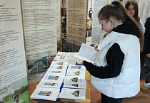 В зауральском селе открылась передвижная выставка «Человеческий потенциал России – трезвение»