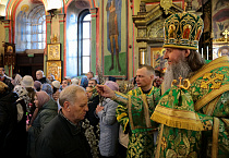 В праздник Входа Господня в Иерусалим митрополит Даниил освятил вербы в Александро-Невском соборе