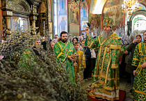 В праздник Входа Господня в Иерусалим митрополит Даниил освятил вербы в Александро-Невском соборе