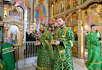 В праздник Входа Господня в Иерусалим митрополит Даниил освятил вербы в Александро-Невском соборе