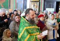 В праздник Входа Господня в Иерусалим митрополит Даниил освятил вербы в Александро-Невском соборе