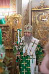 Митрополит Даниил в праздник Входа Господня в Иерусалим освятил вербы в Александро-Невском соборе