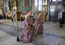 Митрополит Даниил: «Духовное родство выше родства телесного»