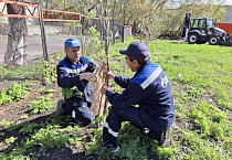 Коллектив курганского отделения Газпрома привёл в порядок территорию воскресной школы