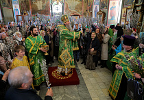 В праздник Входа Господня в Иерусалим митрополит Даниил освятил вербы в Александро-Невском соборе