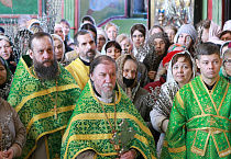 В праздник Входа Господня в Иерусалим митрополит Даниил освятил вербы в Александро-Невском соборе