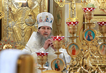 Митрополит Даниил: «Праздники Лазарева суббота и Вербное воскресенье - это мостик перед Страстной седмицей»