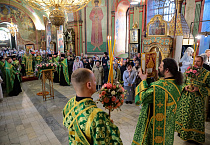 В праздник Входа Господня в Иерусалим митрополит Даниил освятил вербы в Александро-Невском соборе