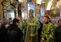 В праздник Входа Господня в Иерусалим митрополит Даниил освятил вербы в Александро-Невском соборе