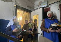 В декабре «Экипаж Милосердия» посетил в Кургане 10 нуждающихся семей 