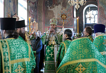 Митрополит Даниил: В знак нашей духовной победы мы держим в руках вербы