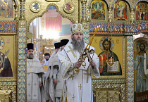 Праздник Крещения Господня встретили в храмах Курганской епархии