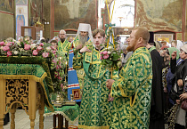 Митрополит Даниил на Всенощном бдении в Александро-Невском соборе освятил вербы