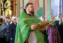 В праздник Входа Господня в Иерусалим митрополит Даниил освятил вербы в Александро-Невском соборе