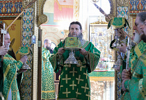 Митрополит Даниил: В знак нашей духовной победы мы держим в руках вербы