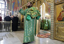 Митрополит Даниил в праздник Входа Господня в Иерусалим освятил вербы в Александро-Невском соборе