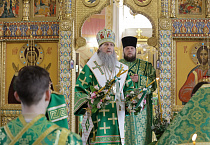 Митрополит Даниил в праздник Входа Господня в Иерусалим освятил вербы в Александро-Невском соборе