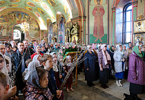В праздник Входа Господня в Иерусалим митрополит Даниил освятил вербы в Александро-Невском соборе