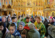 В праздник Входа Господня в Иерусалим митрополит Даниил освятил вербы в Александро-Невском соборе